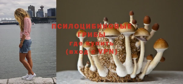 ALPHA PVP Абдулино