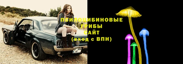 дмт Абаза