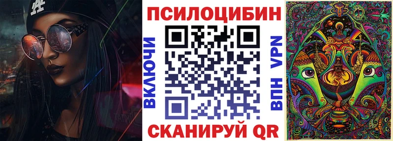 цены наркотик ОМГ ОМГ ТОР Галлюциногенные грибы Psilocybine cubensis Цимлянск